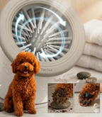 Automatic Paw Washer